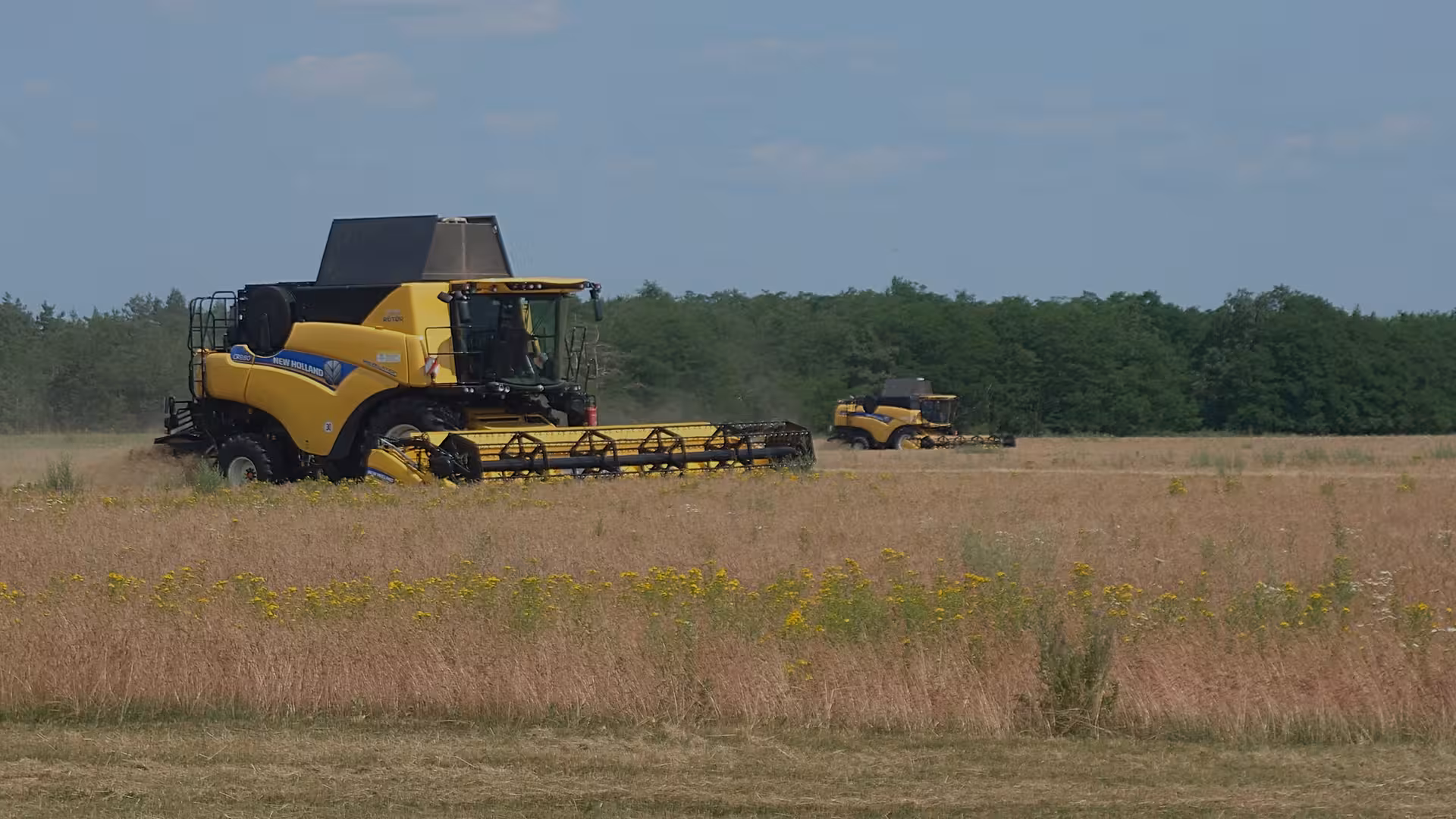 Agrargenossenschaft Landwirtschaft